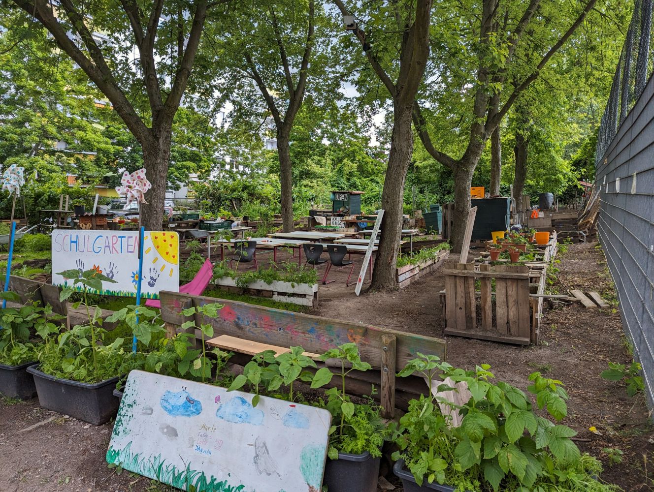 Schulgarten der Grundschule am Hollerbusch